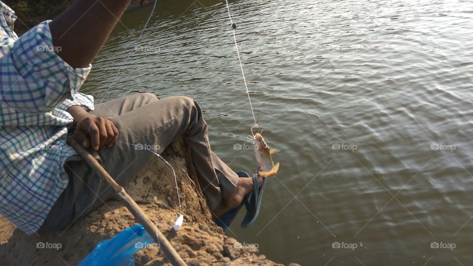 fish hunting in lake