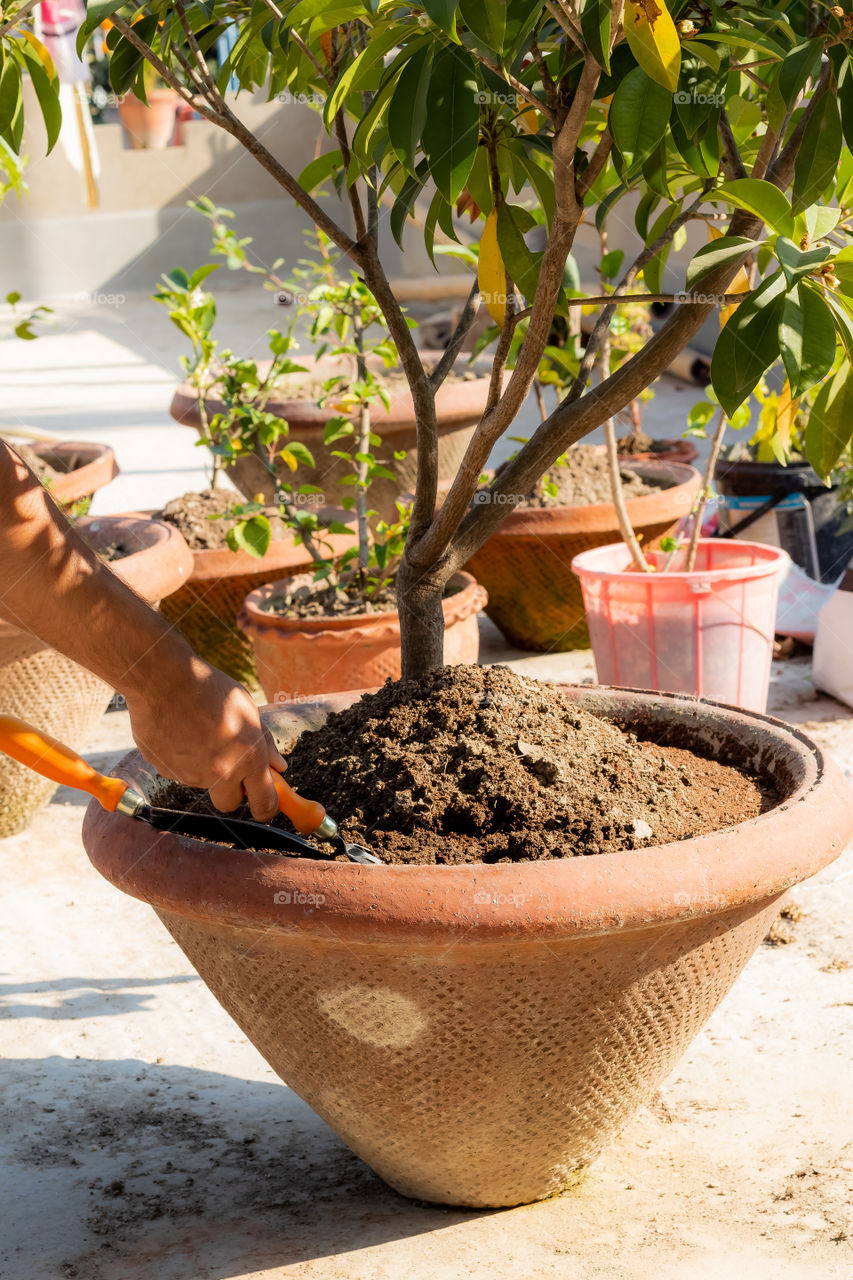 Gardening