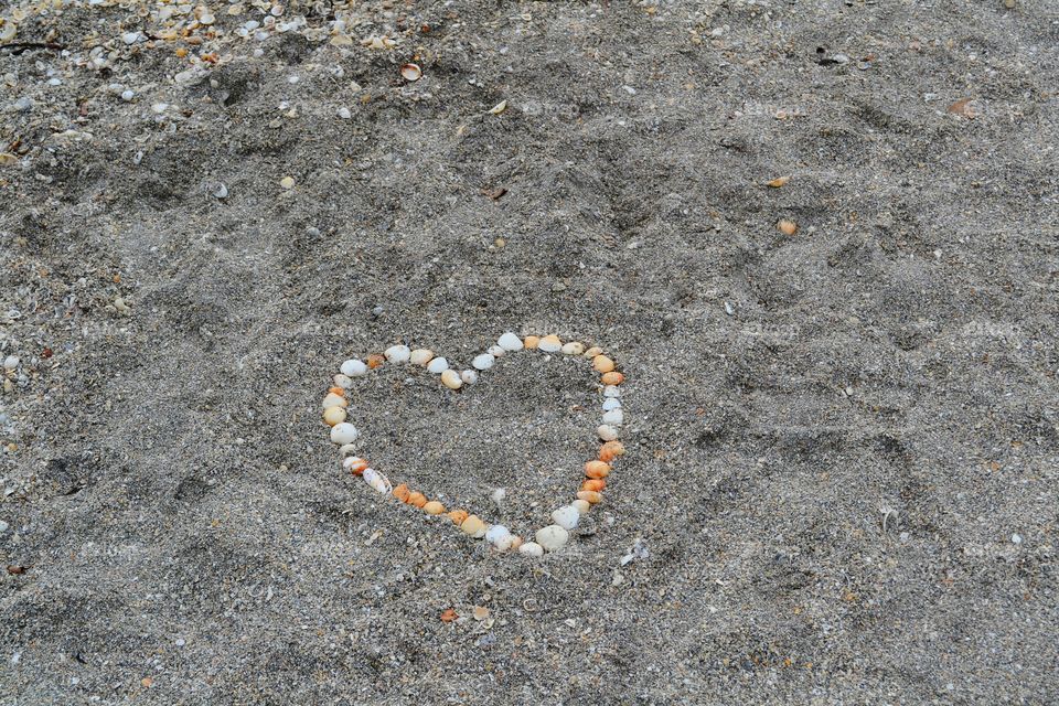 seashell heart. love found on the beach