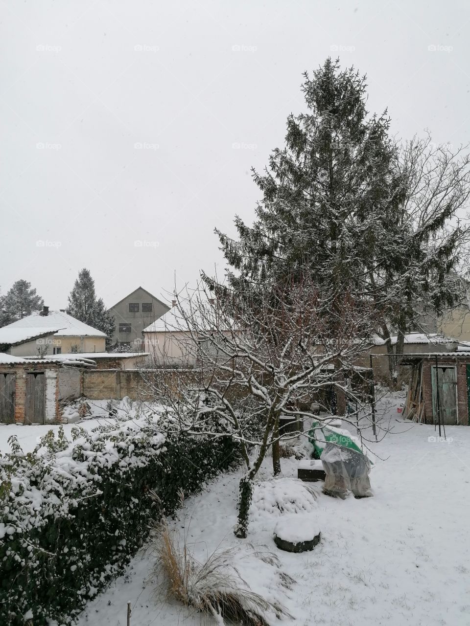 Current... ❄️Snow ❄️