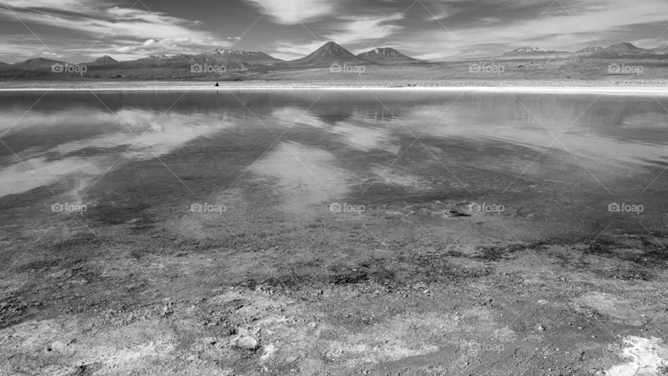 salt lagoon in atacama