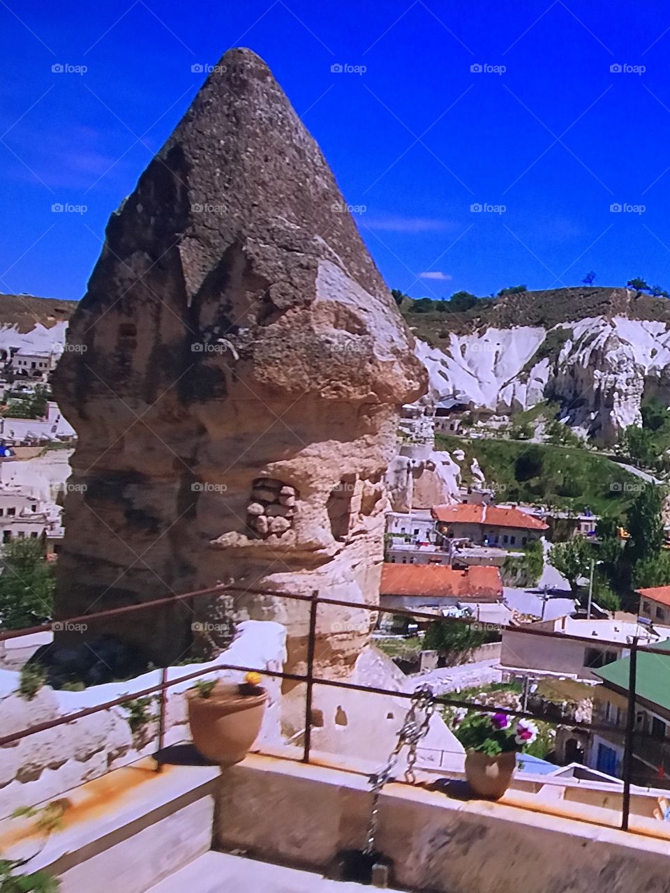 Awesome Turkey Mount