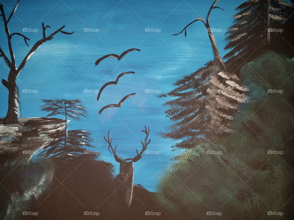 Moon light wild life