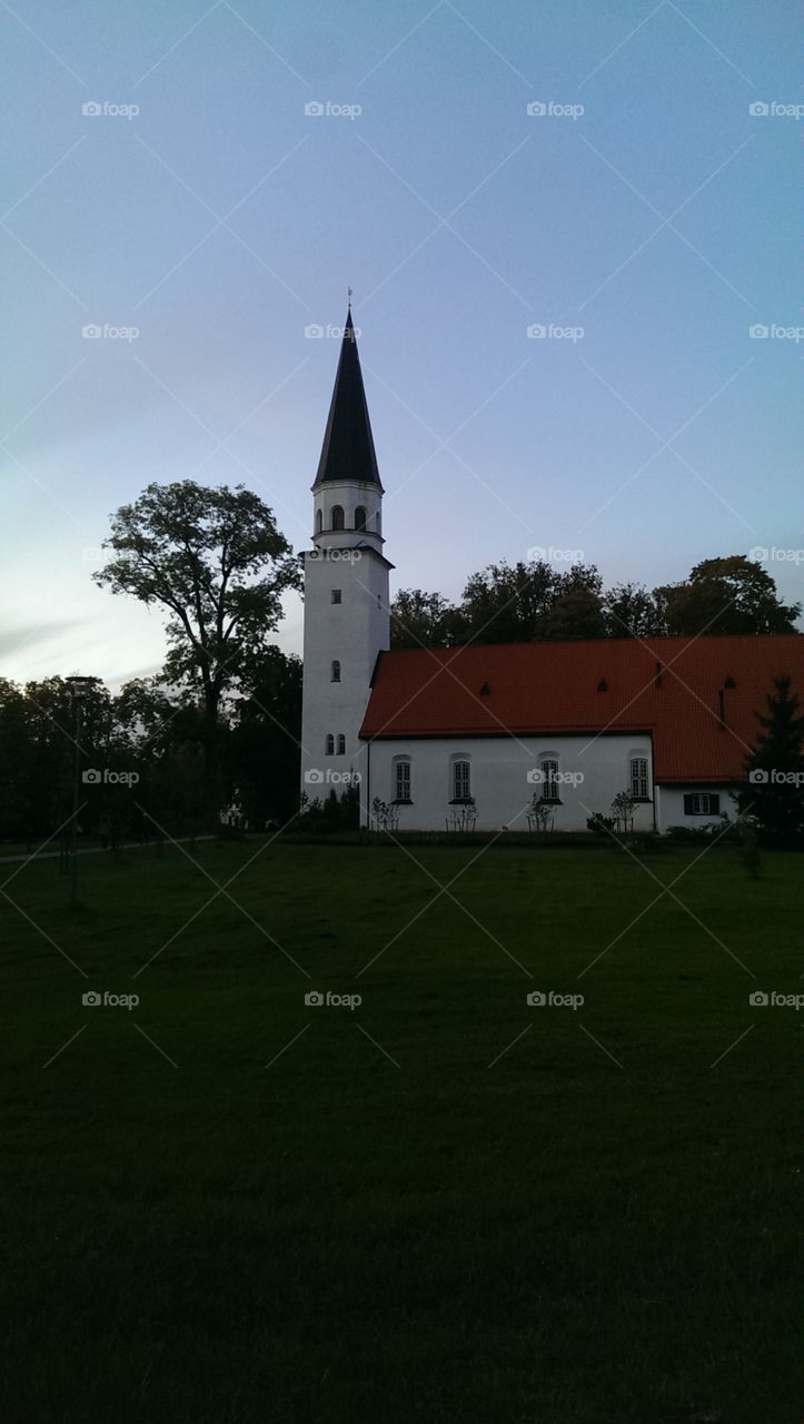 church in between tree's