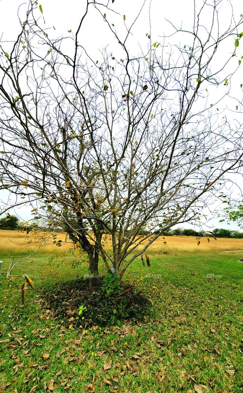 Chilly Autumn morning