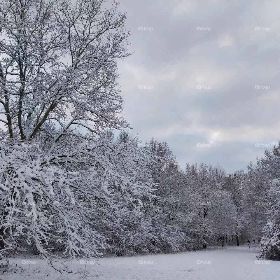 frost