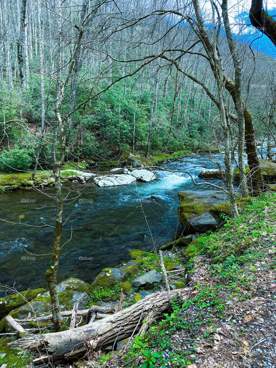 River bed