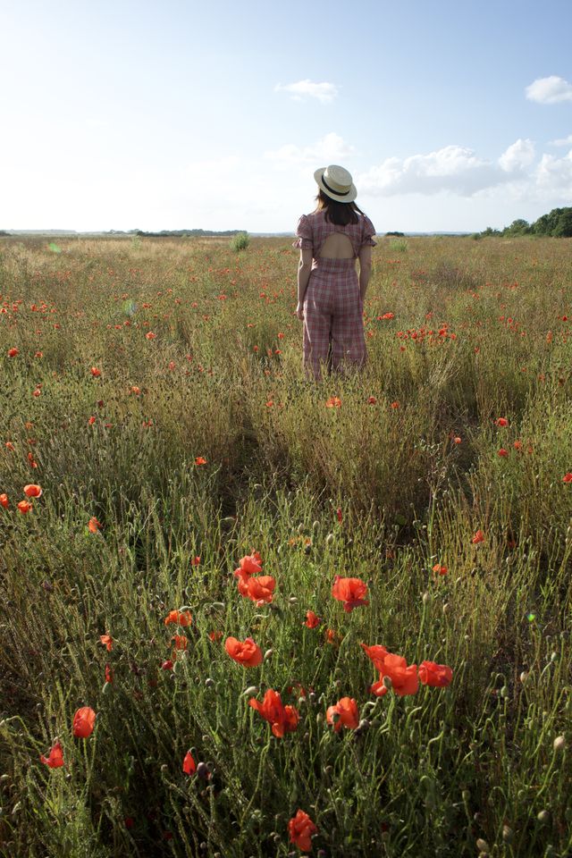 poppies