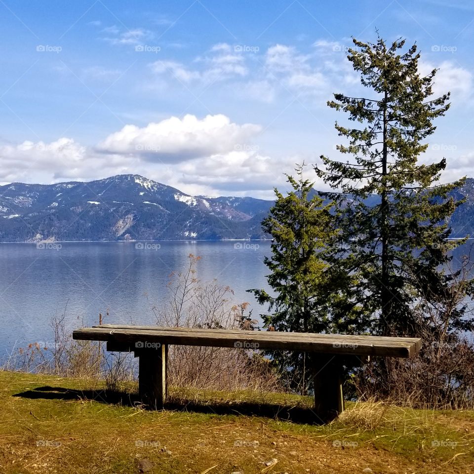 wood bench looking towards lake water on a spring day