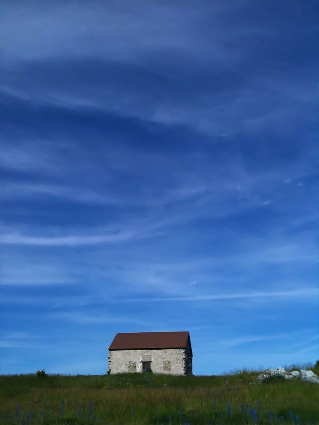 sky blue grass buildings by kajic