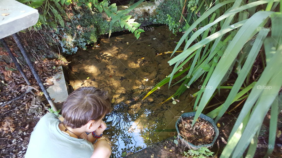 Kid watching toadpoles in a mountain pond