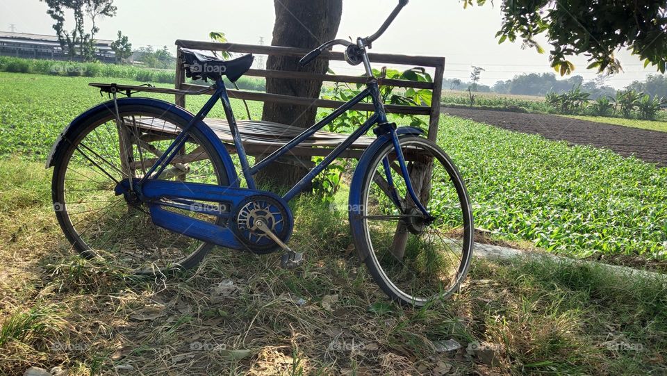 sepeda di pinggir sawah