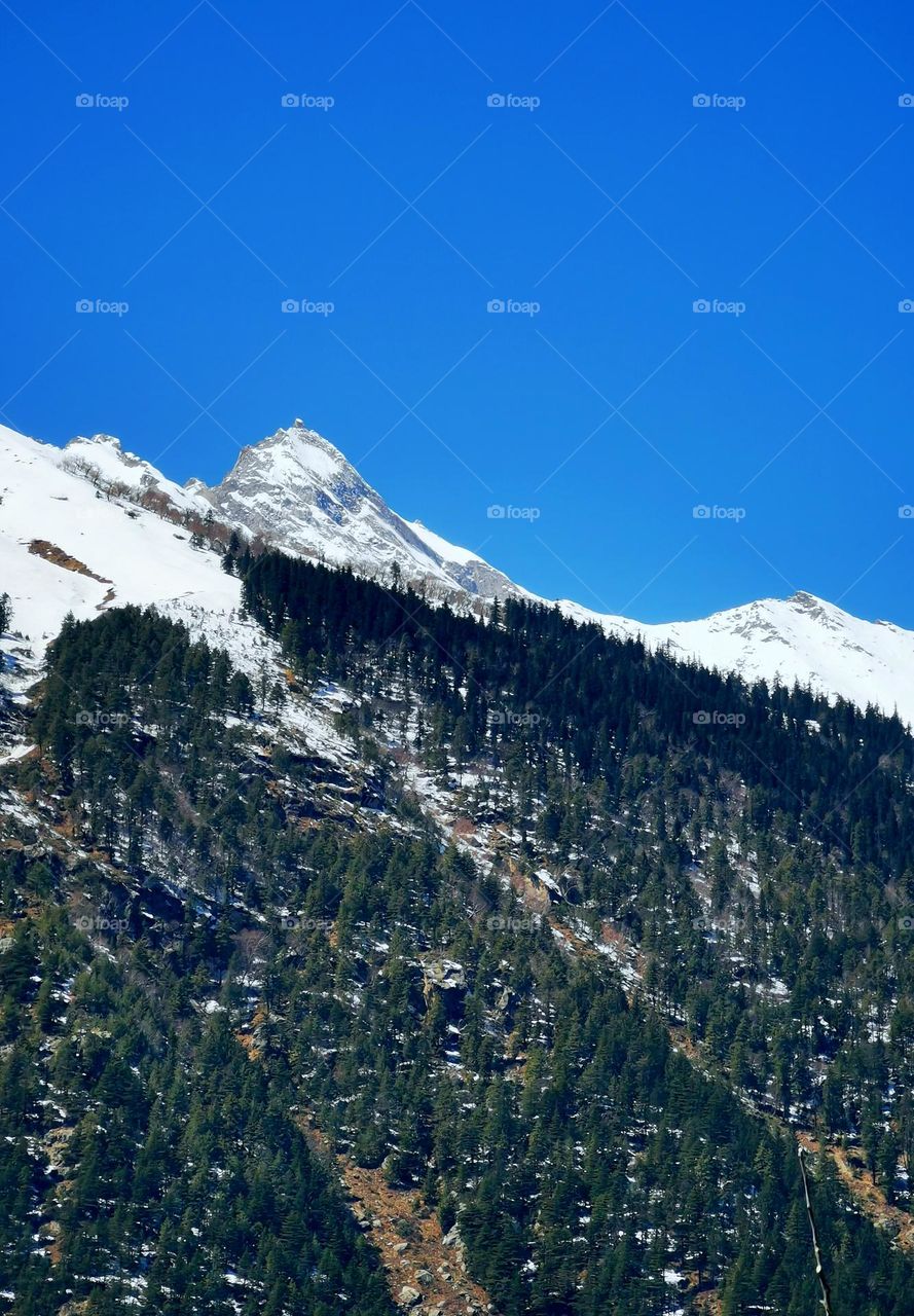 All leads to the paradise of peace