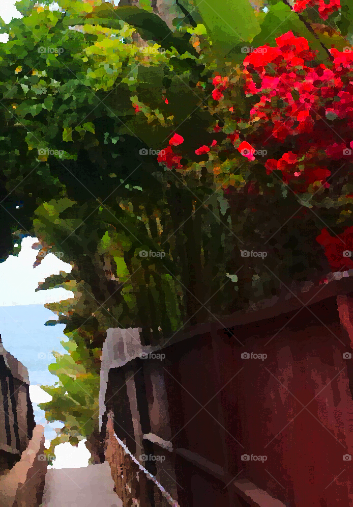 Stairs To Carlsbad Beach