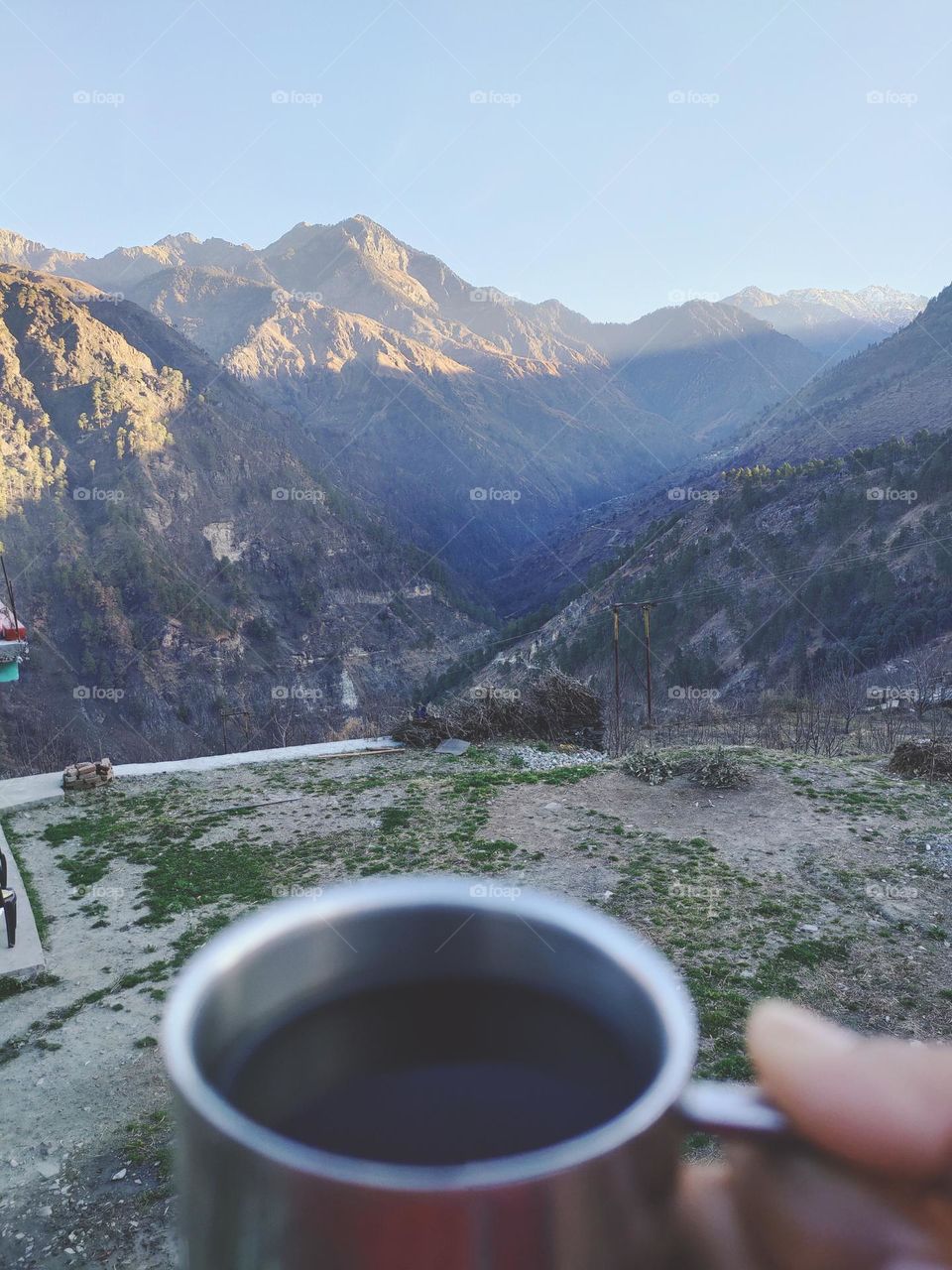 Enjoy the Favour of Tea with nature