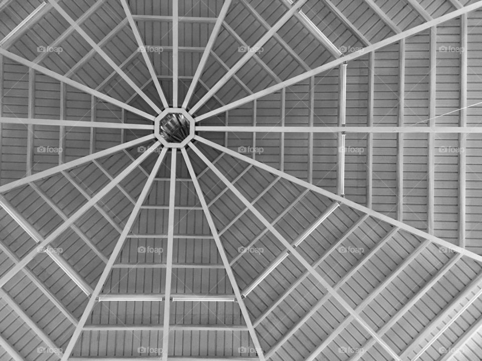 Auditorium roof texture in black & white