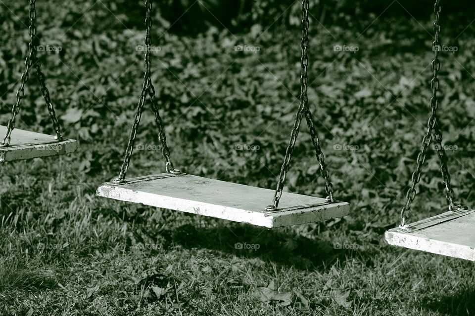 hammock on autumn