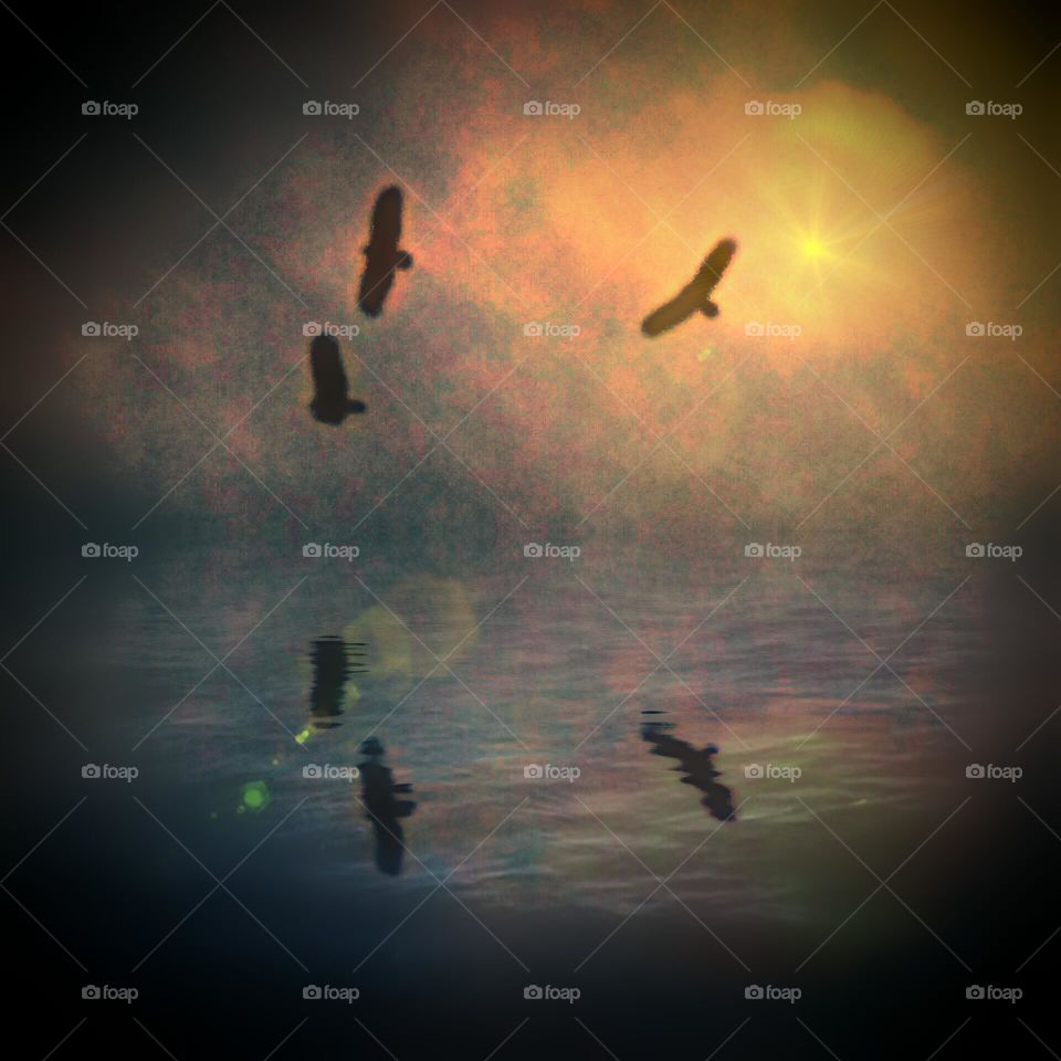 Three Vultures Circling