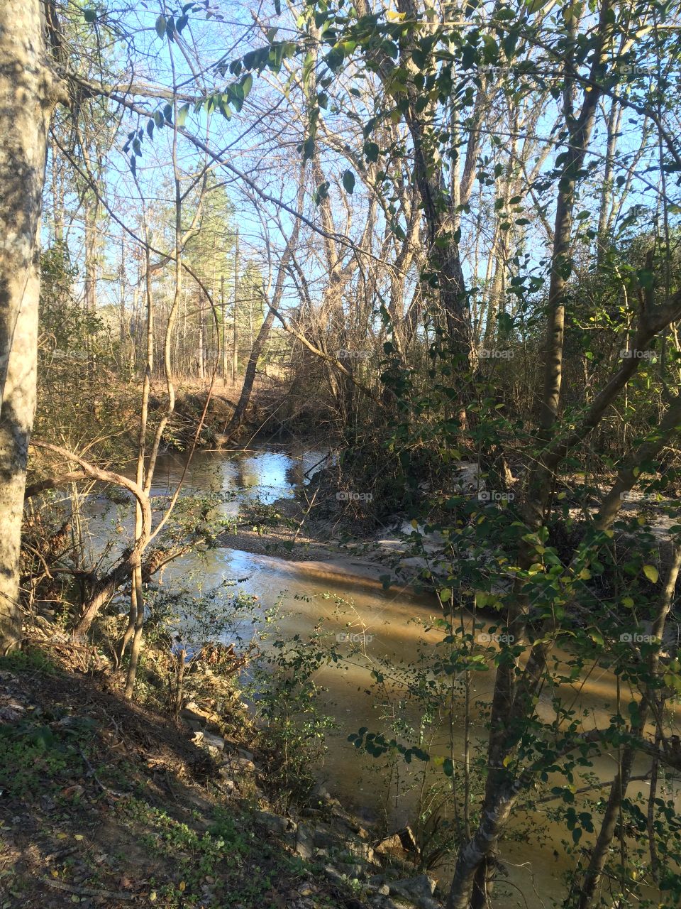 Crick in the Creek