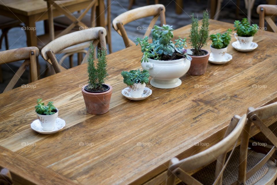 Plant pots on the table on the terrace