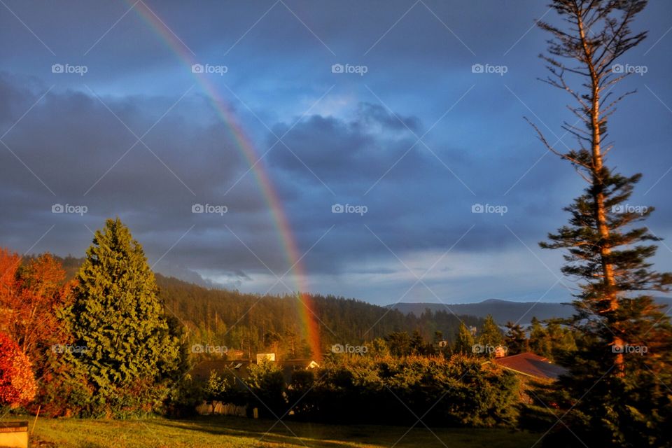 Beautiful rainbow