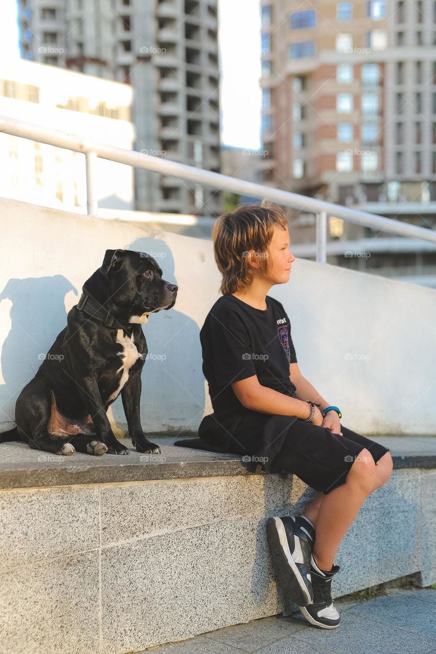 walking the dog down the street, the owner walks the weakling, teaches her, cleans up after her, educates, plays with his pet. people and dogs are best friends