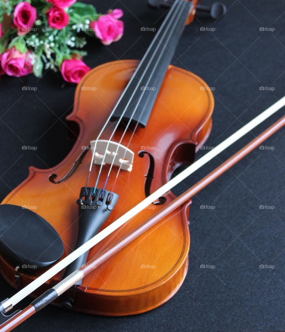 Violin and bow, stringed instrument, musical instrument, violin, strings, instrument 