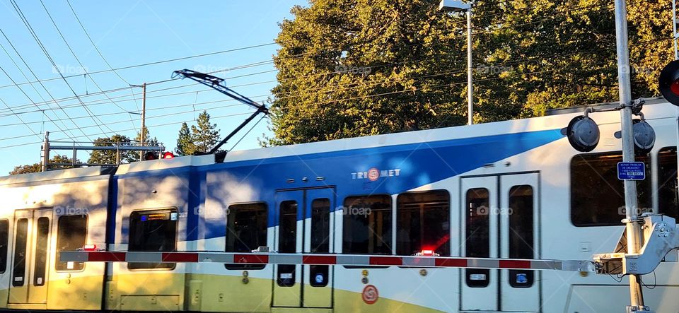 blue yellow white public commuter train on a week day evening in Oregon