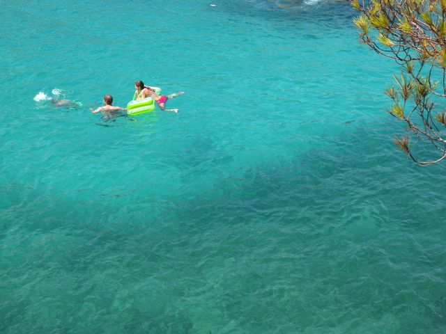 pure holiday