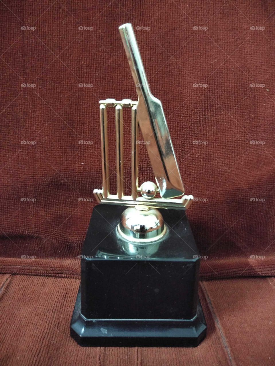 cricket trophy