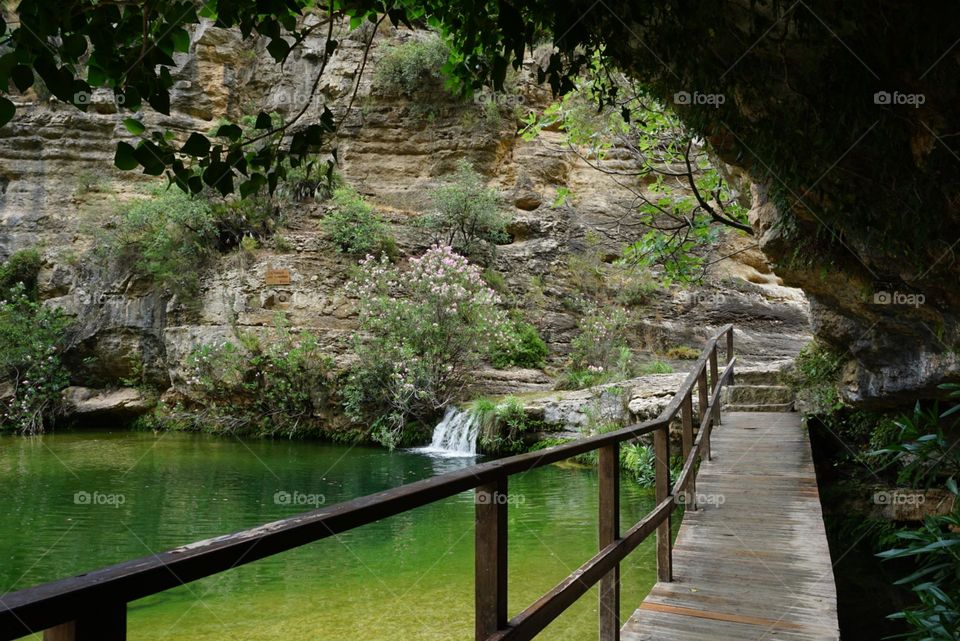 Walk#bridge#wood#lake#nature