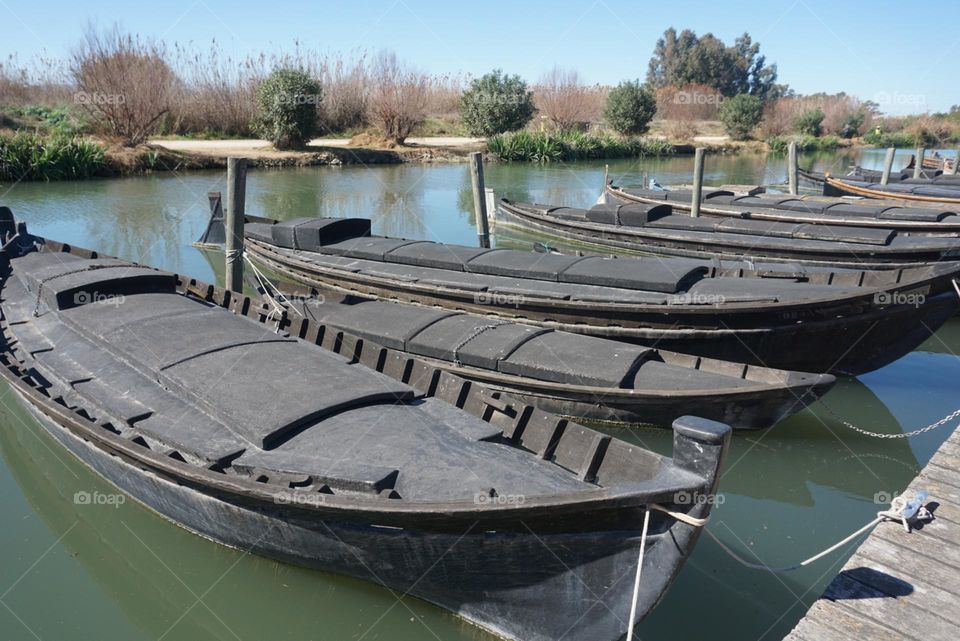 Port#sea#sky#boats#trees