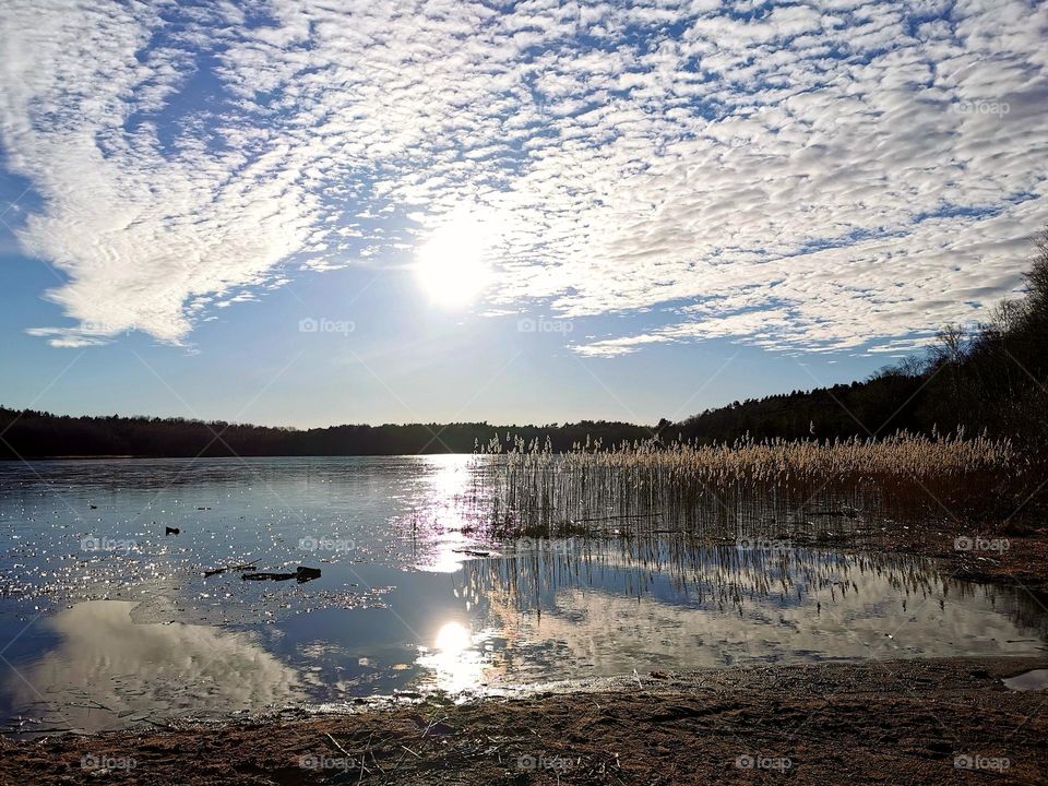 Sunny winter day by the lake