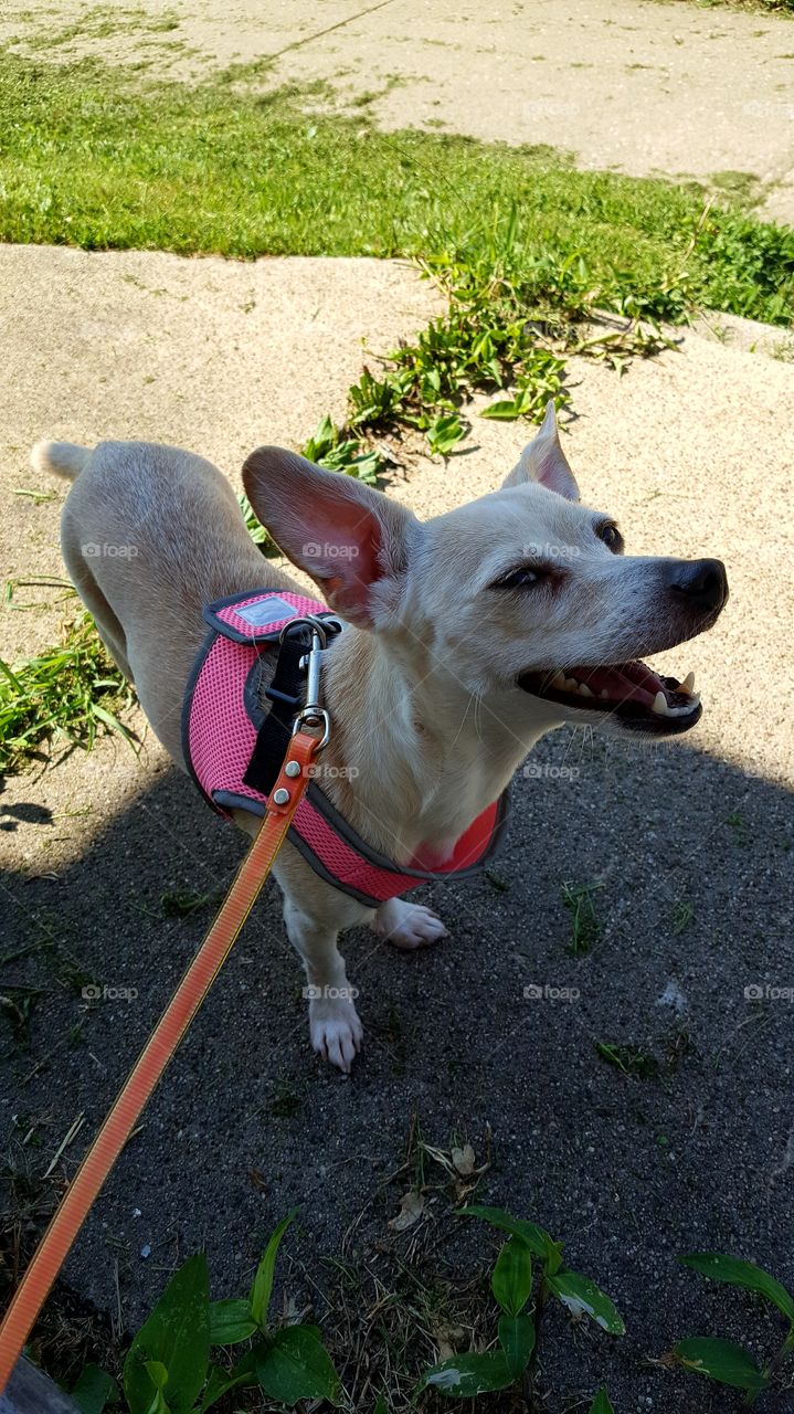 enjoying the summer day