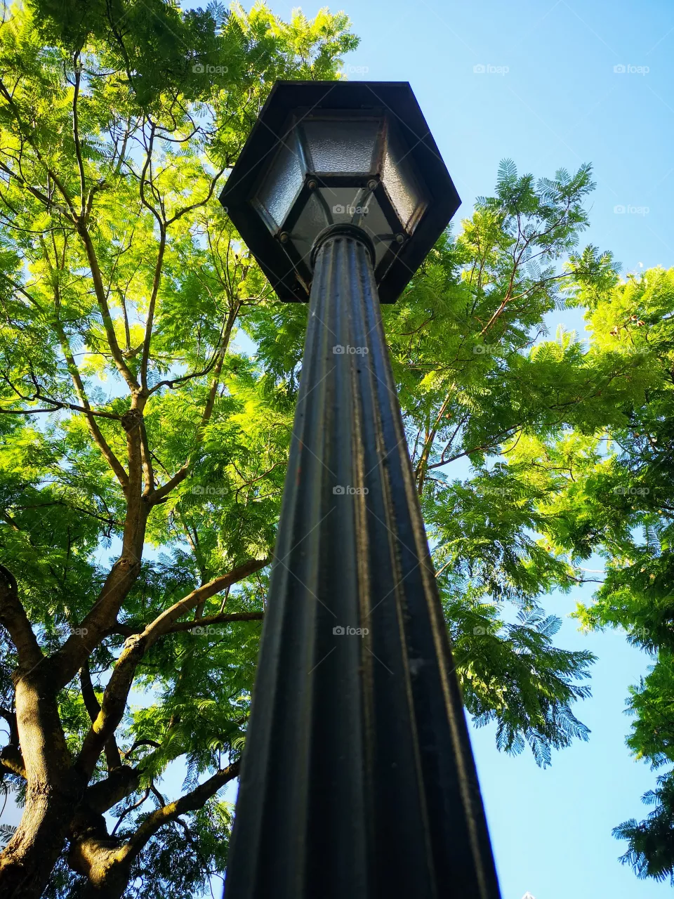 Urbano