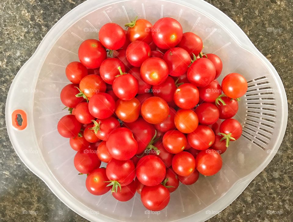 Tomatoes fresh from the garden