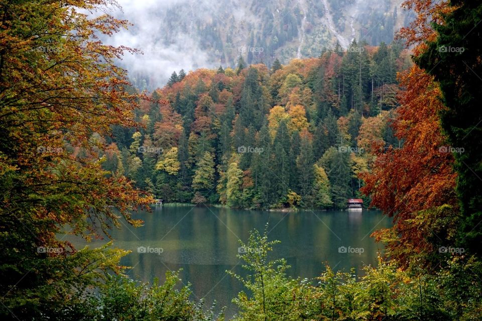 The Winter is comming