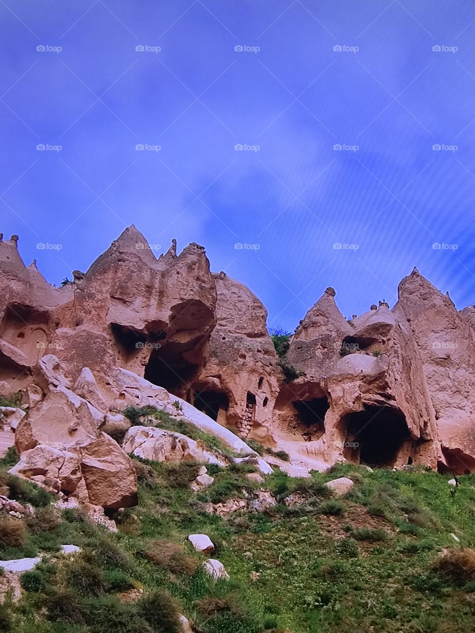 Awesome Turkey Mount