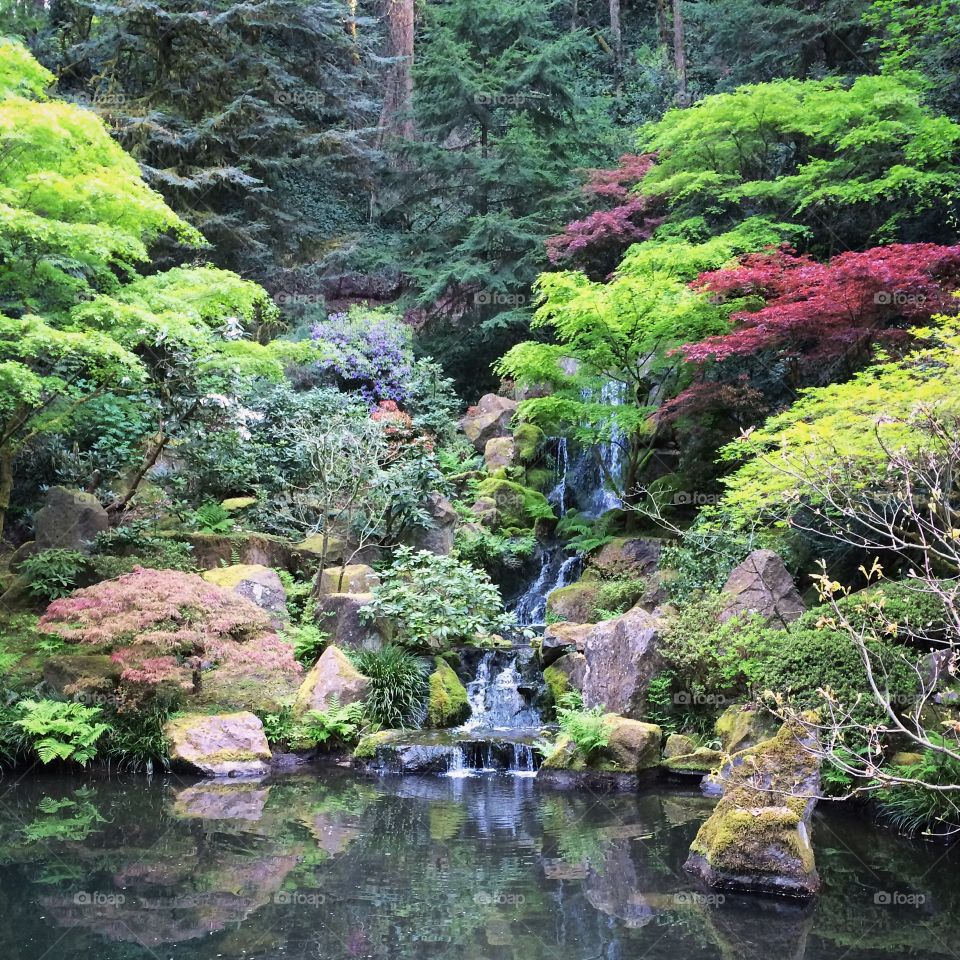 Portland Japanese Garden