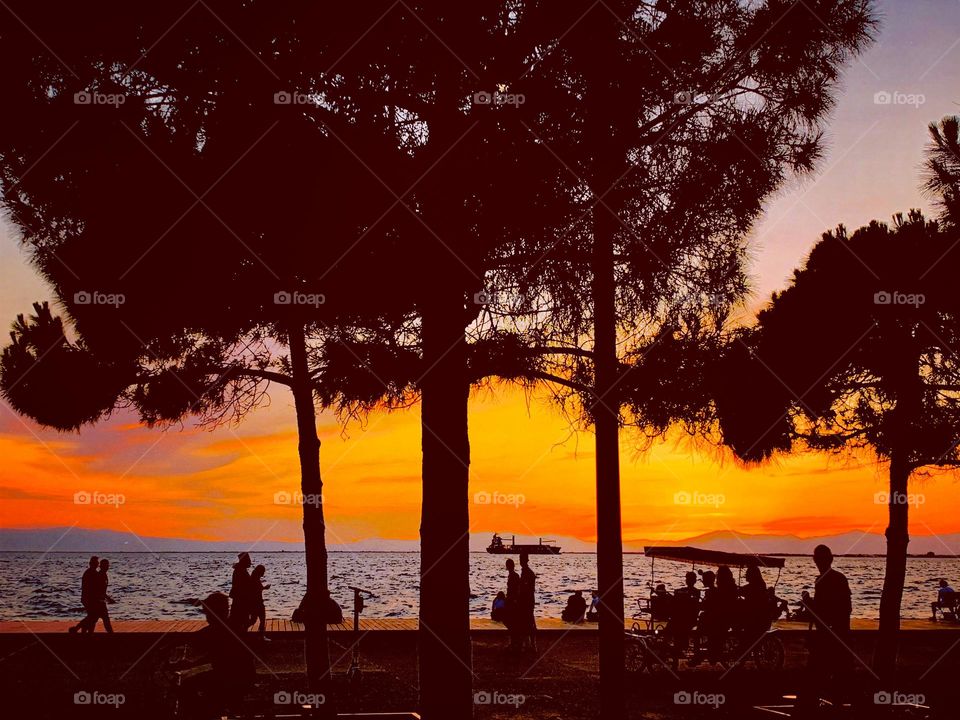 Shadows in the sunset 