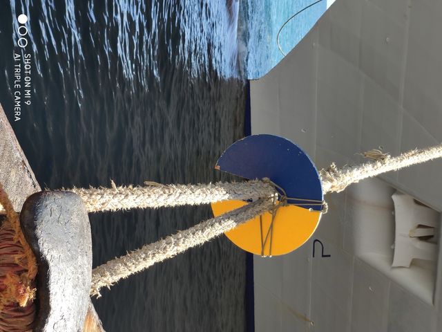 Cruise in the harbour 