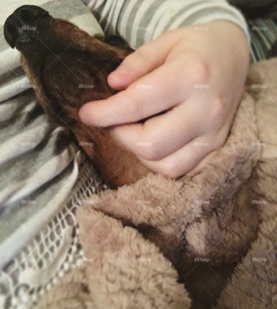 Sausage dog having her chin tickled under a blanket
