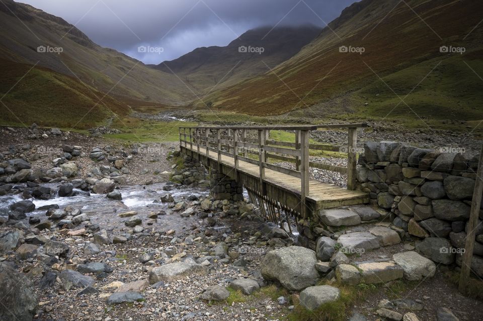 Wooden bridge over stream