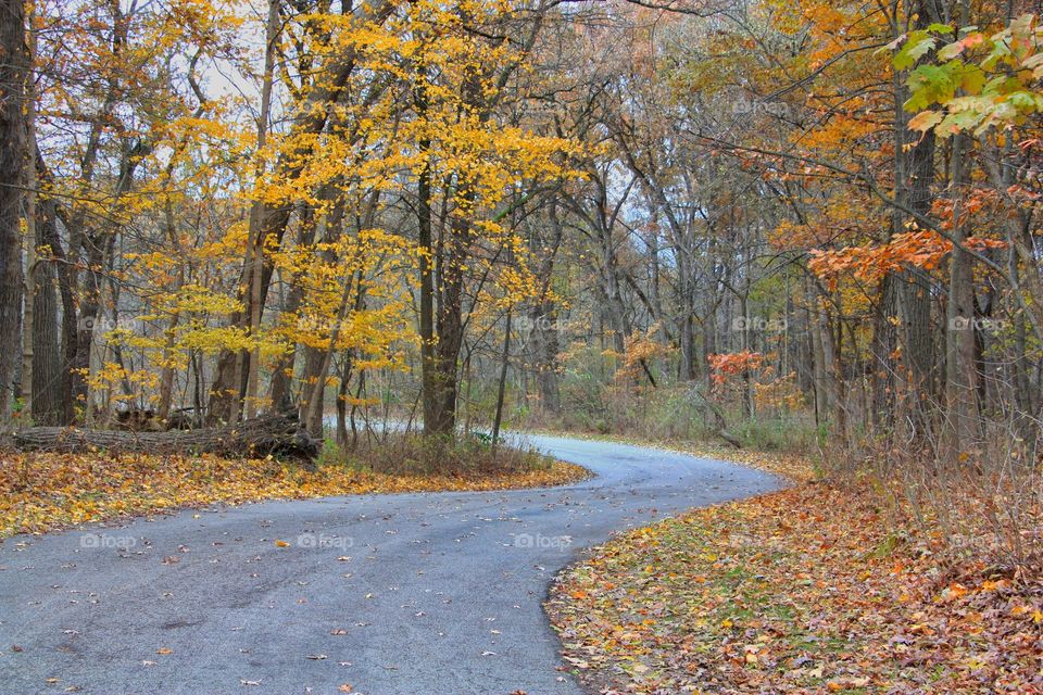 colors of fall