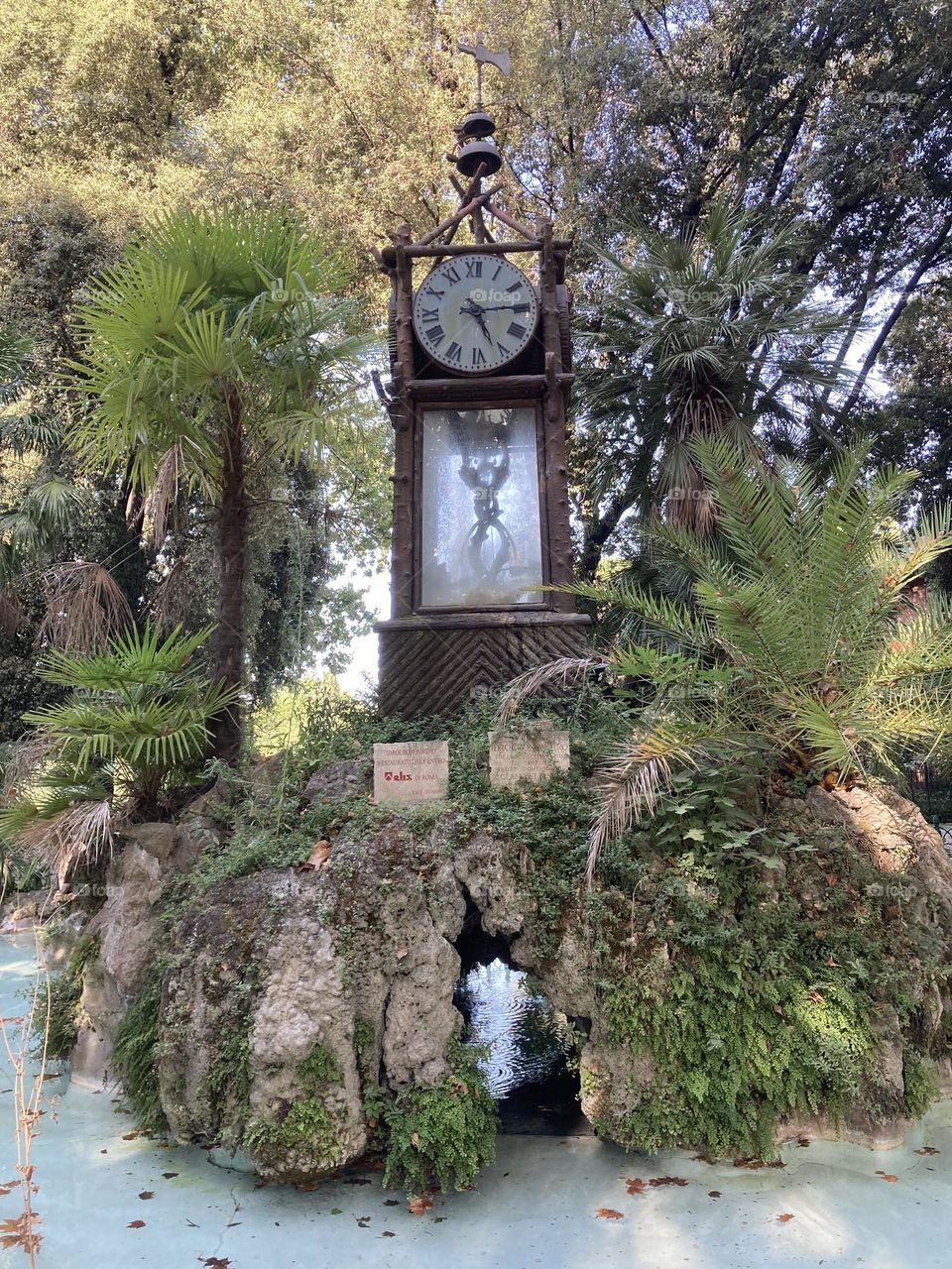 Clock in the nature