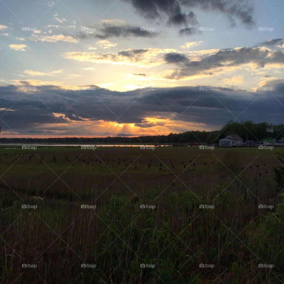 Farmland Sunset