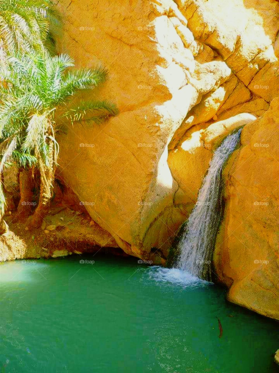 Desert Oasis Waterfall and Pool, Douz, Tunisia