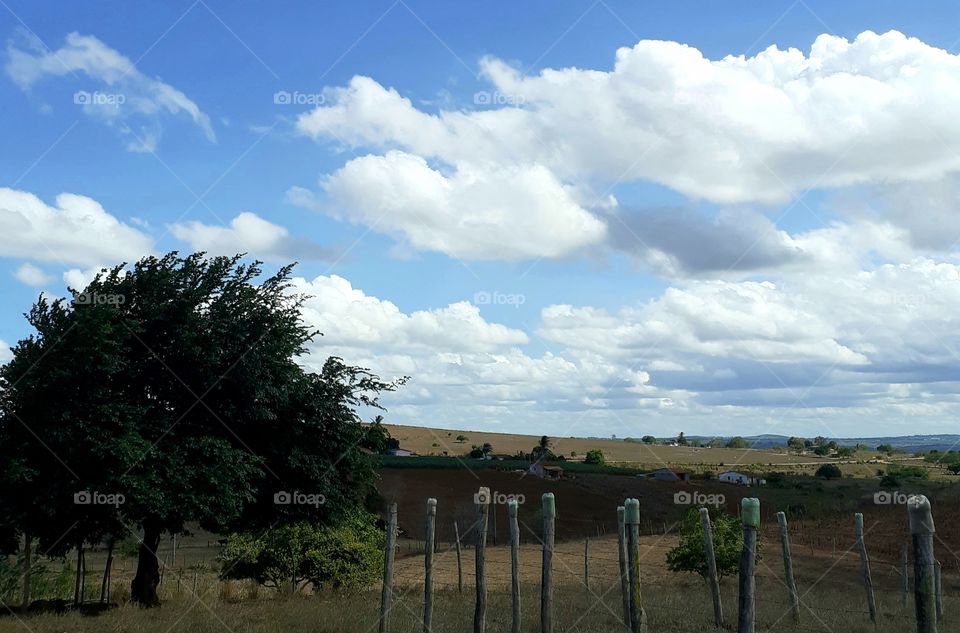 Zona rural de Alagoas, Brasil.