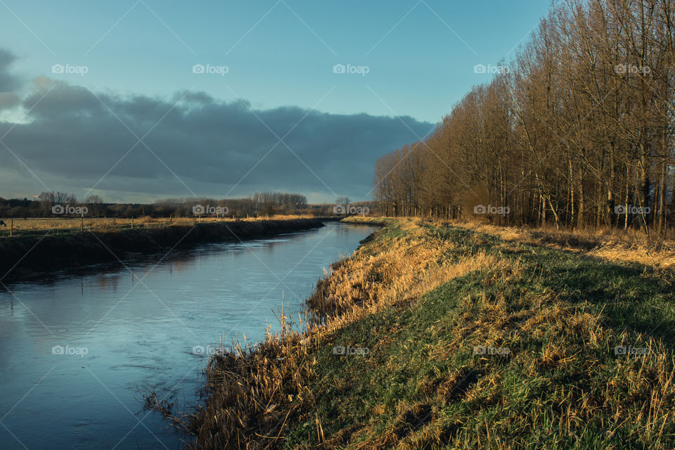 Scenic view of river