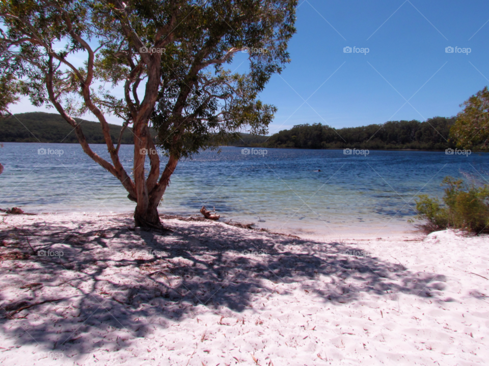 fraser island - australia water lake by luke.twomey85